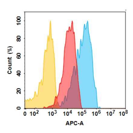 Flow Cytometry - Anti-CD166 Humanized Antibody [Praluzatamab Biosimilar] - Azide free (A318803) - Antibodies.com