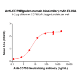 ELISA - Anti-CD79b Humanized Antibody [Polatuzumab Biosimilar] - Azide free (A318804) - Antibodies.com