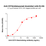 ELISA - Anti-CD74 Humanized Antibody [Milatuzumab Biosimilar] - Azide free (A318805) - Antibodies.com