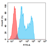 Flow Cytometry - Anti-CD20 Humanized Antibody [Obinutuzumab Biosimilar] - Azide free (A318814) - Antibodies.com
