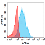 Flow Cytometry - Anti-CD45 Antibody [Apamistamab Biosimilar] - Azide free (A318818) - Antibodies.com
