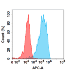 Flow Cytometry - Anti-Interferon gamma Antibody [Emapalumab Biosimilar] - Azide free (A318832) - Antibodies.com