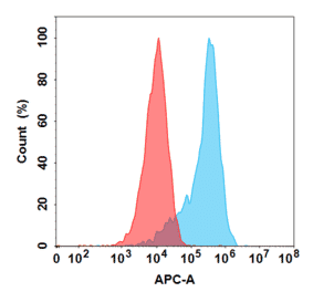 Flow Cytometry - Pabinafusp Alfa Biosimilar - Anti-Transferrin Receptor Antibody - BSA and Azide free (A318833) - Antibodies.com