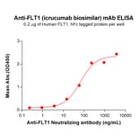 ELISA - Icrucumab Biosimilar - Anti-VEGF Receptor 1 Antibody - BSA and Azide free (A318839) - Antibodies.com