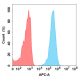 Flow Cytometry - Anti-C5a-R Antibody [Avdoralimab Biosimilar] - Azide free (A318847) - Antibodies.com