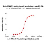 ELISA - Anifrolumab Biosimilar - Anti-Interferon alpha/beta Receptor 1 Antibody - BSA and Azide free (A318850) - Antibodies.com