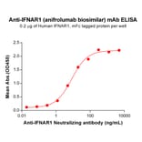 ELISA - Anifrolumab Biosimilar - Anti-Interferon alpha/beta Receptor 1 Antibody - BSA and Azide free (A318850) - Antibodies.com