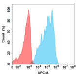 Flow Cytometry - Anti-CCR8 Humanized Antibody [BMS 986340] - Azide free (A318852) - Antibodies.com
