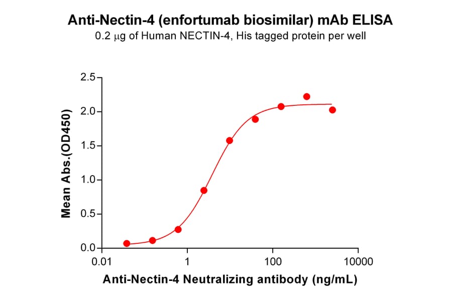 ELISA - Anti-Nectin 4 Antibody [Enfortumab Biosimilar] - Azide free (A318874) - Antibodies.com