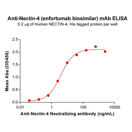 ELISA - Anti-Nectin 4 Antibody [Enfortumab Biosimilar] - Azide free (A318874) - Antibodies.com
