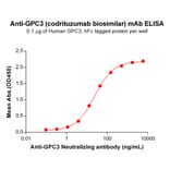 ELISA - Anti-Glypican 3 Humanized Antibody [Codrituzumab Biosimilar] - Azide free (A318879) - Antibodies.com