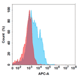 Flow Cytometry - IMAB027 Biosimilar - Anti-Claudin 6 Antibody - BSA and Azide free (A318880) - Antibodies.com