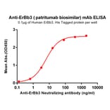 ELISA - Anti-ErbB3/HER3 Antibody [Patritumab Biosimilar] - Azide free (A318900) - Antibodies.com
