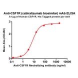 ELISA - Anti-CSF-1-R Humanized Antibody [Cabiralizumab Biosimilar] - Azide free (A318902) - Antibodies.com