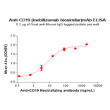 ELISA - Anti-CD19 Humanized Antibody [Inebilizumab Biosimilar] - Azide free (A318906) - Antibodies.com
