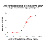 ELISA - Trastuzumab Biosimilar - Anti-ErbB2/HER2 Antibody - BSA and Azide free (A318909) - Antibodies.com