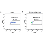 Flow Cytometry - Anti-CD37 Chimeric Antibody [Naratuximab Biosimilar] - Azide free (A318910) - Antibodies.com