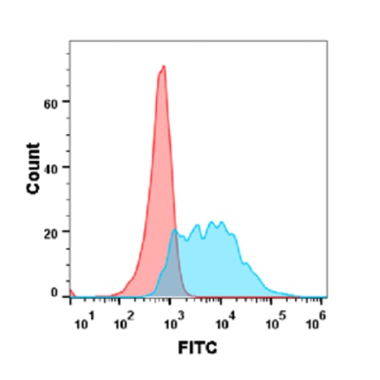 Flow Cytometry - Anti-BAFF Antibody [Belimumab Biosimilar] - Azide free (A318912) - Antibodies.com