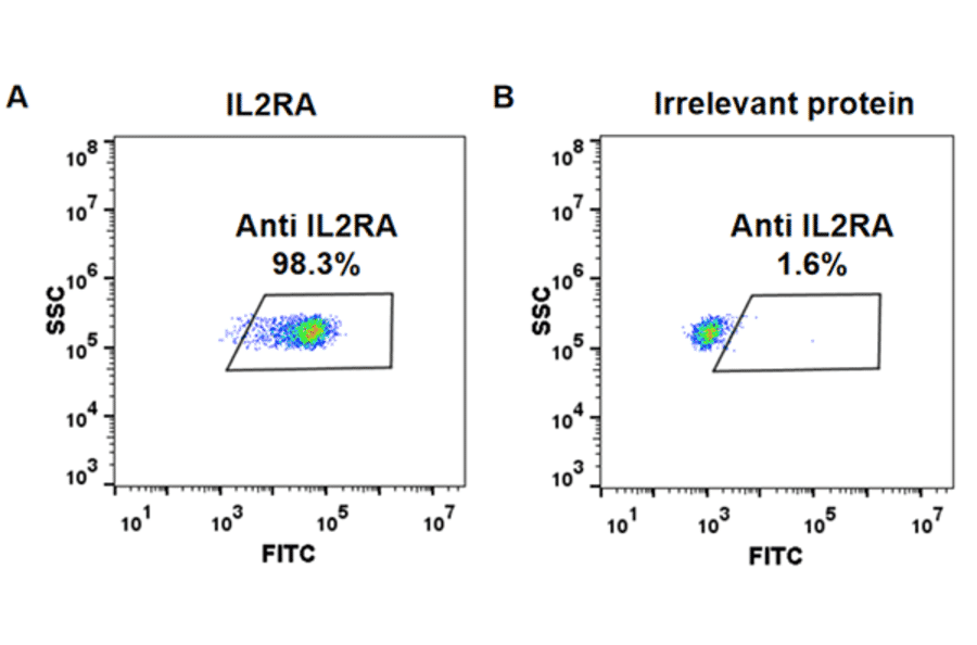 Flow Cytometry - Anti-IL-2 Receptor alpha Chimeric Antibody [IL2RA Reference mAb] - Azide free (A318913) - Antibodies.com