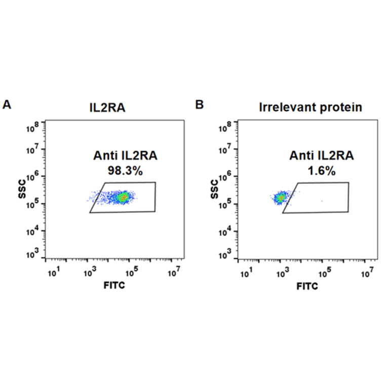 Flow Cytometry - Anti-IL-2 Receptor alpha Chimeric Antibody [IL2RA Reference mAb] - Azide free (A318913) - Antibodies.com