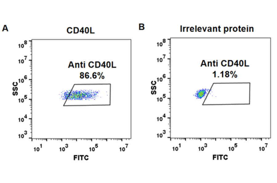 Flow Cytometry - Anti-TNFSF5 Humanized Antibody [Ruplizumab Biosimilar] - Azide free (A318914) - Antibodies.com