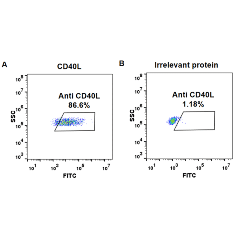 Flow Cytometry - Anti-TNFSF5 Humanized Antibody [Ruplizumab Biosimilar] - Azide free (A318914) - Antibodies.com