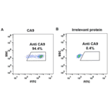 Flow Cytometry - Anti-Carbonic Anhydrase 9/CA9 Chimeric Antibody [Girentuximab Biosimilar] - Azide free (A318916) - Antibodies.com