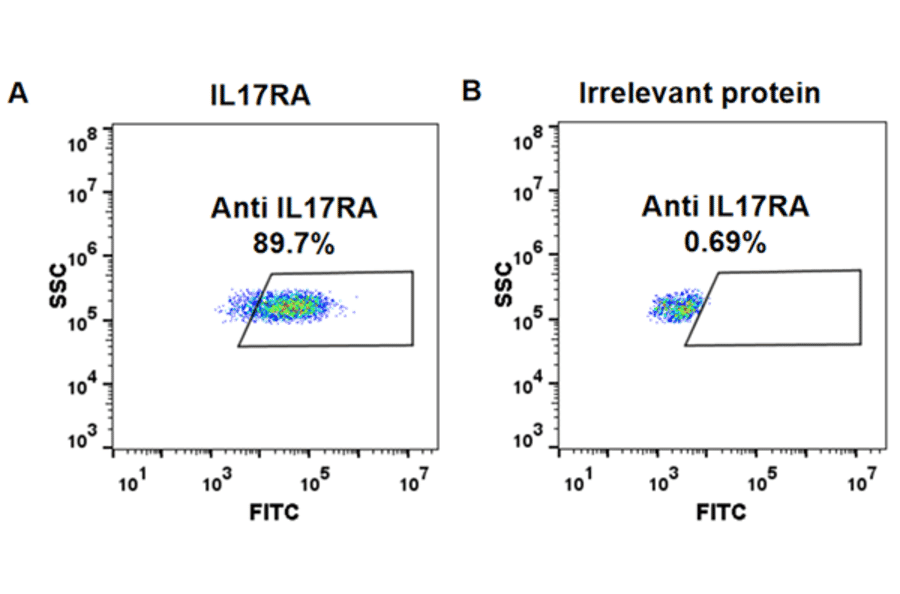 Flow Cytometry - Anti-IL-17RA Receptor Antibody [Brodalumab Biosimilar] - Azide free (A318918) - Antibodies.com