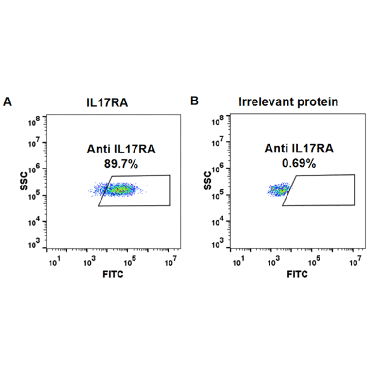 Flow Cytometry - Anti-IL-17RA Receptor Antibody [Brodalumab Biosimilar] - Azide free (A318918) - Antibodies.com