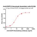 ELISA - Anti-EGFR Chimeric Antibody [Cetuximab Biosimilar] - Azide free (A318922) - Antibodies.com