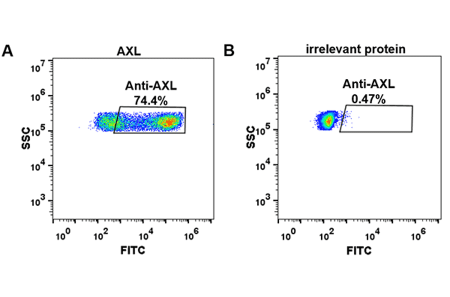 Flow Cytometry - Anti-Axl Antibody [Enapotamab Biosimilar] - Azide free (A318923) - Antibodies.com