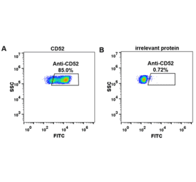 Flow Cytometry - Anti-CD52 Humanized Antibody [Alemtuzumab Biosimilar] - Azide free (A318926) - Antibodies.com