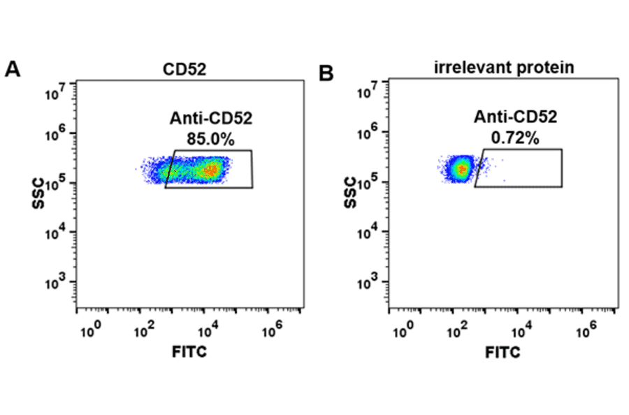 Flow Cytometry - Anti-CD52 Humanized Antibody [Alemtuzumab Biosimilar] - Azide free (A318926) - Antibodies.com