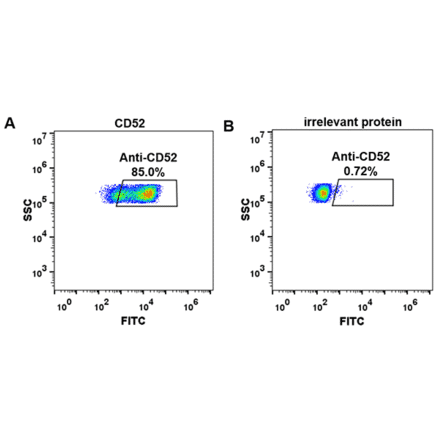 Flow Cytometry - Anti-CD52 Humanized Antibody [Alemtuzumab Biosimilar] - Azide free (A318926) - Antibodies.com