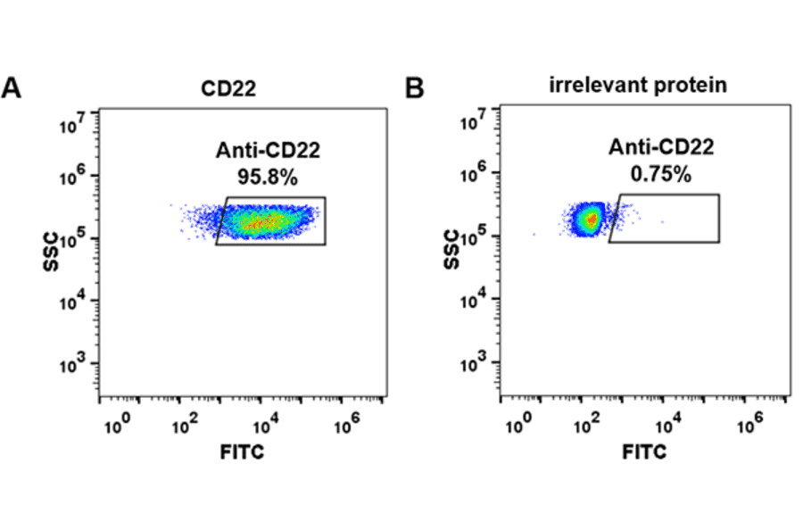 Flow Cytometry - Anti-CD22 Humanized Antibody [Pinatuzumab Biosimilar] - Azide free (A318927) - Antibodies.com