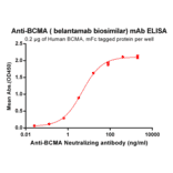 ELISA - Anti-BCMA Humanized Antibody [Belantamab Biosimilar] - Azide free (A318928) - Antibodies.com