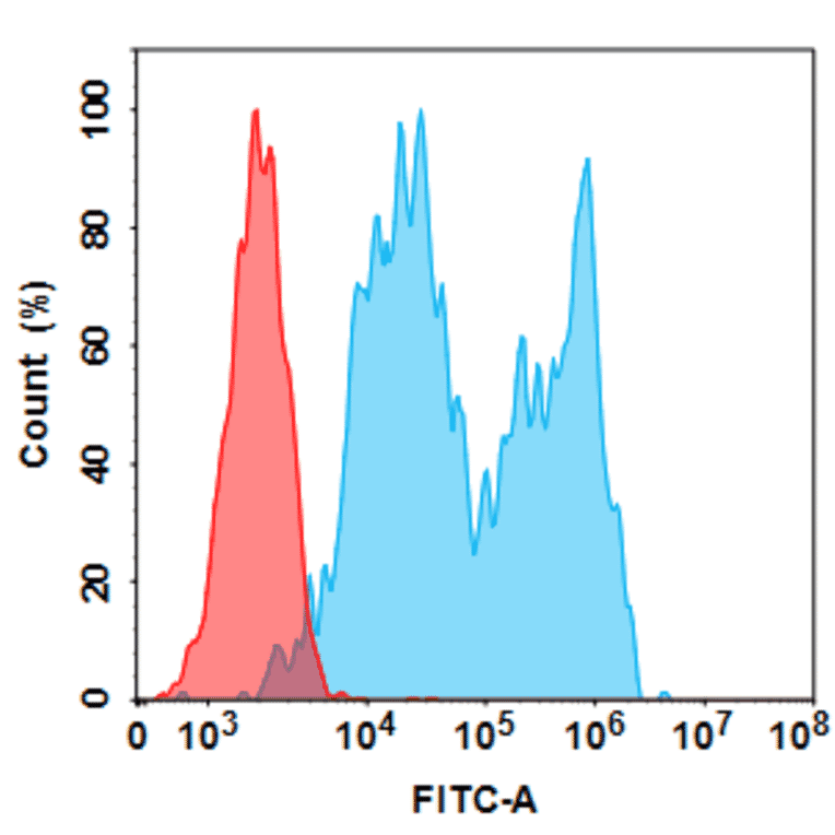 Recombinant Anti-CD20 Chimeric Antibody [Rituximab Biosimilar] (A318931) - Antibodies.com