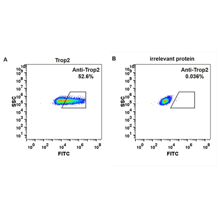 Flow Cytometry - Anti-TROP2 Humanized Antibody [Sacituzumab Biosimilar] - Azide free (A318933) - Antibodies.com