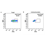 Flow Cytometry - Anti-TROP2 Humanized Antibody [Sacituzumab Biosimilar] - Azide free (A318933) - Antibodies.com