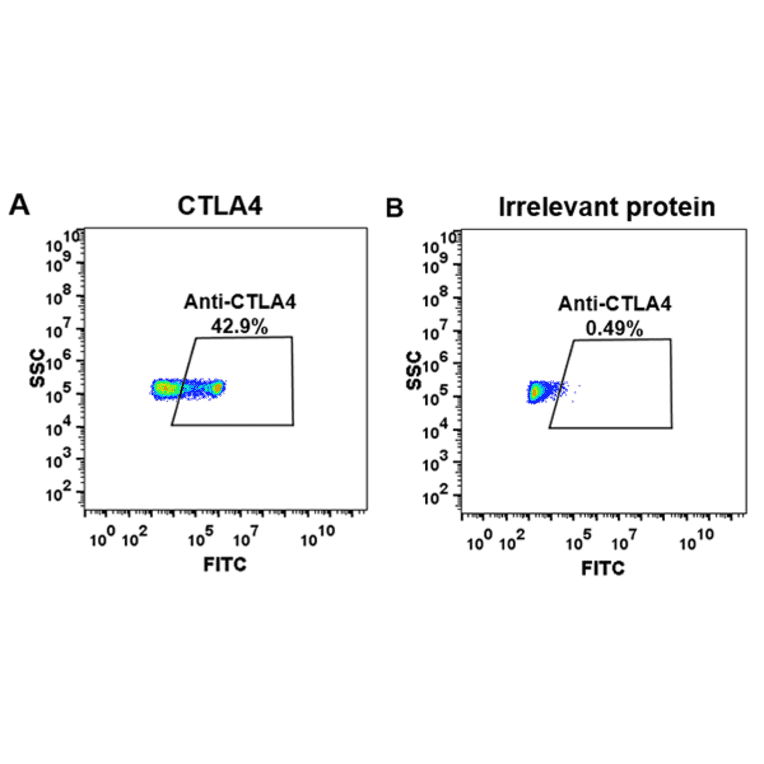 Flow Cytometry - Ipilimumab Biosimilar - Anti-CTLA4 Antibody - BSA and Azide free (A318934) - Antibodies.com