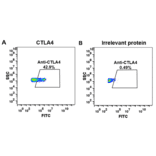 Flow Cytometry - Ipilimumab Biosimilar - Anti-CTLA4 Antibody - BSA and Azide free (A318934) - Antibodies.com