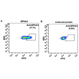 Flow Cytometry - Anti-Eph Receptor A3 Humanized Antibody [Ifabotuzumab Biosimilar] - Azide free (A318937) - Antibodies.com