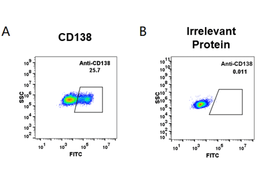 Flow cytometry - Indatuximab Biosimilar - Anti-Syndecan-1 Antibody - BSA and Azide free (A318942)