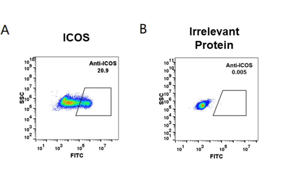 Flow Cytometry - Anti-ICOS Humanized Antibody [Vopratelimab Biosimilar] - Azide free (A318944) - Antibodies.com
