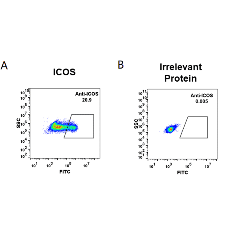 Flow Cytometry - Anti-ICOS Humanized Antibody [Vopratelimab Biosimilar] - Azide free (A318944) - Antibodies.com