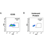 Flow Cytometry - Anti-ICOS Humanized Antibody [Vopratelimab Biosimilar] - Azide free (A318944) - Antibodies.com