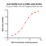 ELISA - Anti-SARS-CoV-2 Spike Glycoprotein Antibody [CB6 Biosimilar] - Azide free (A318945) - Antibodies.com