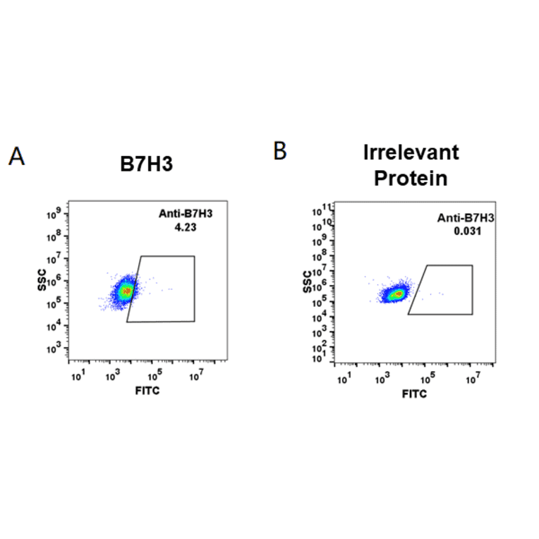 Flow Cytometry - Anti-CD276 Humanized Antibody [Enoblituzumab Biosimilar] - Azide free (A318946) - Antibodies.com