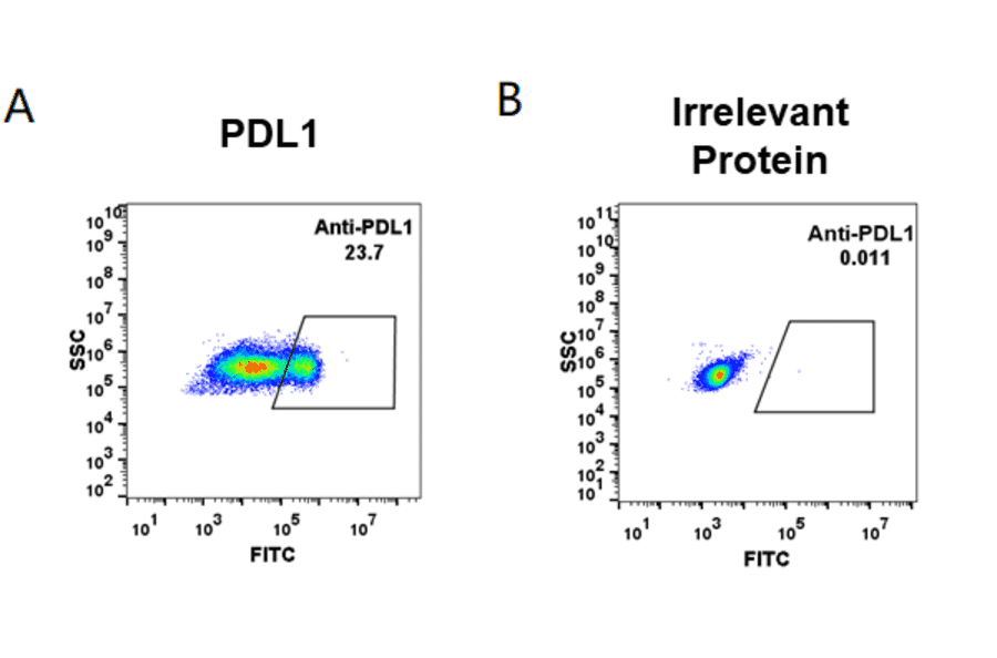 Flow Cytometry - Anti-PD-L1 Humanized Antibody [Atezolizumab Biosimilar] - Azide free (A318947) - Antibodies.com