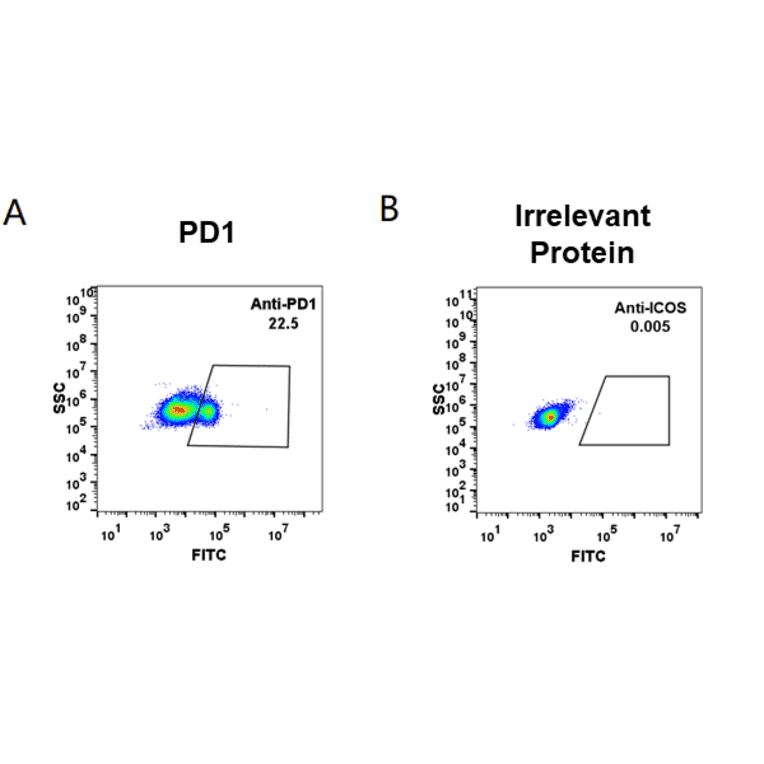 Flow Cytometry - Anti-PD1 Humanized Antibody [Pembrolizumab Biosimilar] - Azide free (A318950) - Antibodies.com